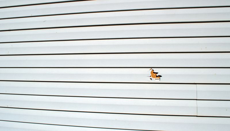 Inspection During Repair