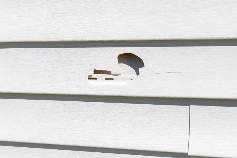Siding Damage Assessment