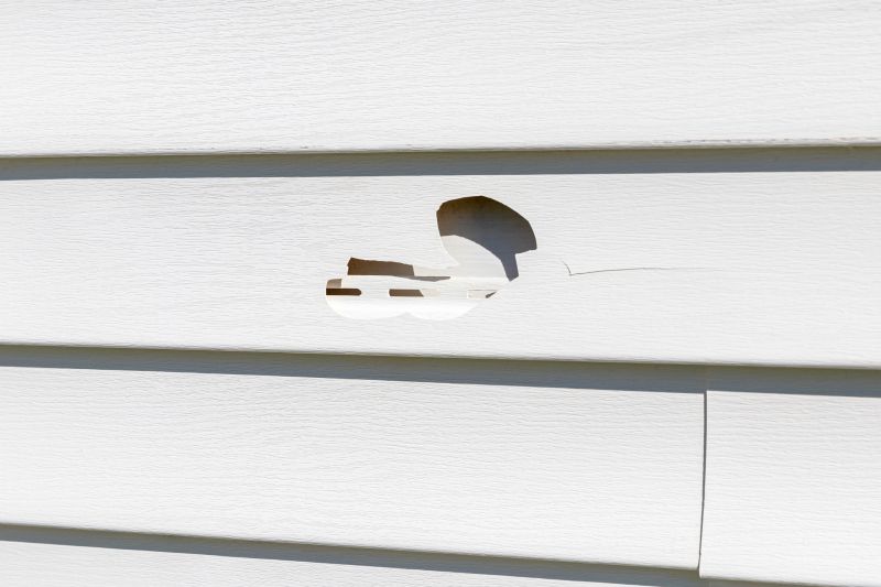 Expert Siding Repair Technician